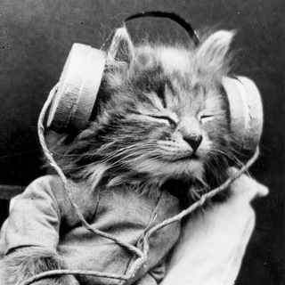 Логотип Телеграм канала Просто послушай. Бесплатная аналитика Telegram каналов