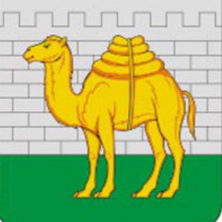 Telegram Channel logo novosti_chelyab. Free Telegram Channel Analytics