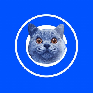 Telegram Channel logo . Free Telegram Channel Analytics