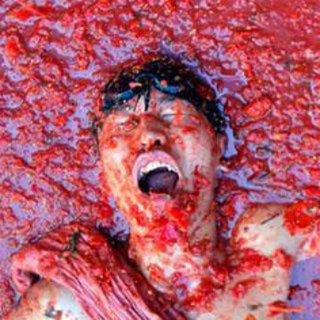 Telegram Channel logo 🍅Tomatocalypse. Free Telegram Channel Analytics