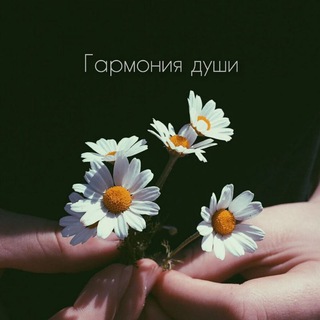 Логотип Телеграм канала garmony_dyshi. Бесплатная аналитика Telegram каналов