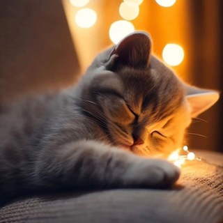 Telegram Channel logo mechtainki. Free Telegram Channel Analytics