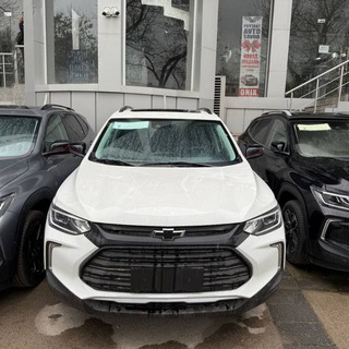 Логотип Телеграм канала bydbozor11. Бесплатная аналитика Telegram каналов