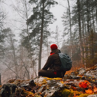 Telegram Channel logo manloveural. Free Telegram Channel Analytics