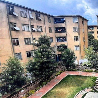 Логотип Телеграм канала condoadis. Бесплатная аналитика Telegram каналов