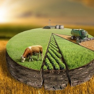 Telegram Channel logo +nYu9Kf1NikIyZmQ6. Free Telegram Channel Analytics