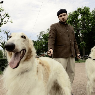 Логотип Телеграм канала . Бесплатная аналитика Telegram каналов