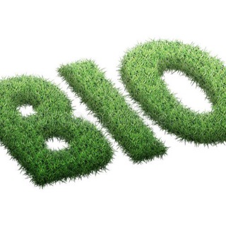 Логотип Телеграм канала . Бесплатная аналитика Telegram каналов