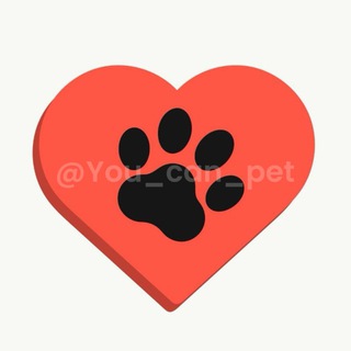 Логотип Телеграм канала You_can_pet. Бесплатная аналитика Telegram каналов