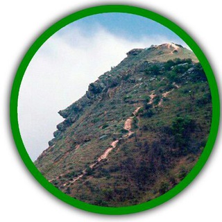 Telegram Channel logo tutizberbash. Free Telegram Channel Analytics