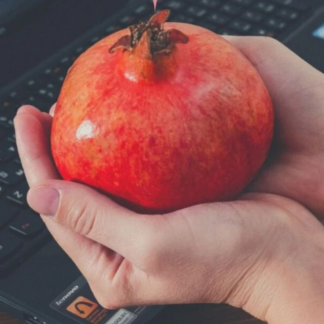 Логотип Телеграм канала rezepti_dietologa. Бесплатная аналитика Telegram каналов