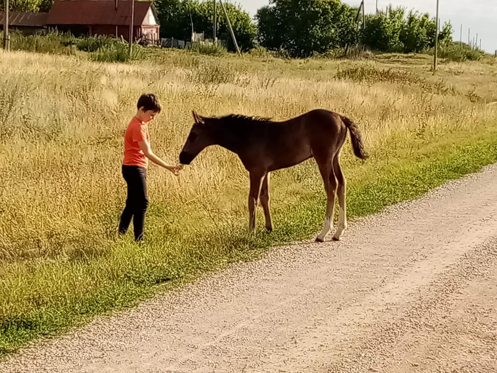 Telegram Channel logo irinaas. Free Telegram Channel Analytics