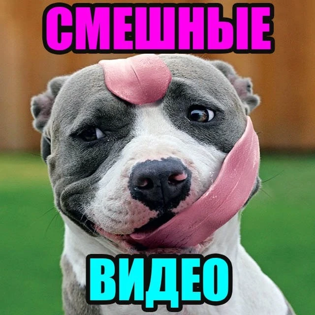 Логотип Телеграм канала wqxg3hygnhrfxtr5n1btyaoahaghoa-2t2tdw__zdis. Бесплатная аналитика Telegram каналов