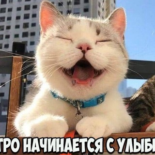 Логотип Телеграм канала Юмор😆Ржака🤣Приколы. Бесплатная аналитика Telegram каналов