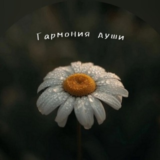 Telegram Channel logo garmony_dyshi. Free Telegram Channel Analytics