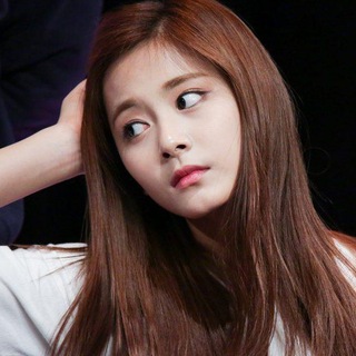 Telegram Channel logo /r/asiangirlsbeingcute. Free Telegram Channel Analytics