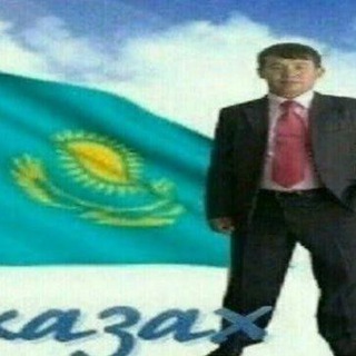 Логотип Телеграм канала . Бесплатная аналитика Telegram каналов