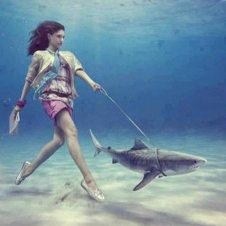 Логотип Телеграм канала muscatenglish. Бесплатная аналитика Telegram каналов