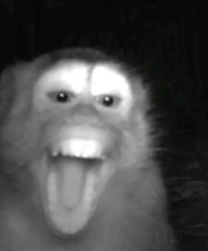 Логотип Телеграм канала joyanime. Бесплатная аналитика Telegram каналов