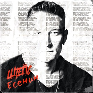 Логотип Телеграм канала ШТЕПС. Бесплатная аналитика Telegram каналов