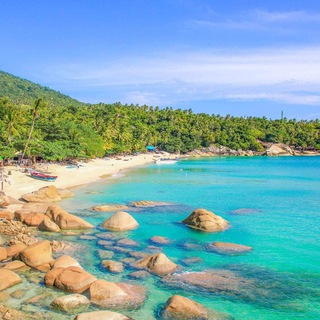 Telegram Channel logo AfishaPanganSamui. Free Telegram Channel Analytics