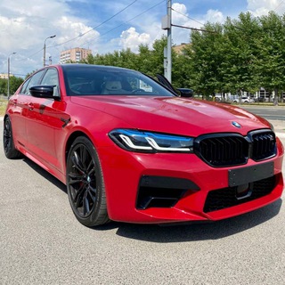 Логотип Телеграм канала . Бесплатная аналитика Telegram каналов