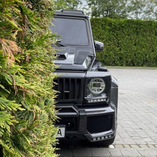 Логотип Телеграм канала 🎵 МУЗЫКА В МАШИНУ 🚘 Треки из TikTok. Бесплатная аналитика Telegram каналов