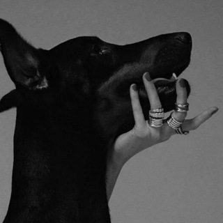 Логотип Телеграм канала Sueta Music | Отборные песни|Последние новинки. Бесплатная аналитика Telegram каналов