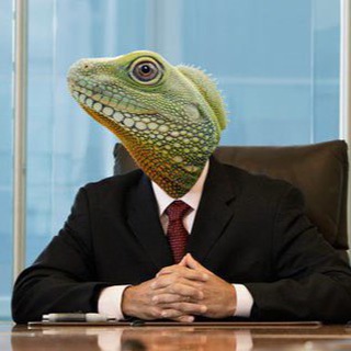 Telegram Channel logo +WN5V8QzIgkw0MWZi. Free Telegram Channel Analytics