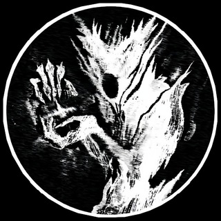 Логотип Телеграм канала wbsharkk. Бесплатная аналитика Telegram каналов