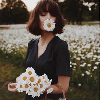 Telegram Channel logo iaaaaa. Free Telegram Channel Analytics