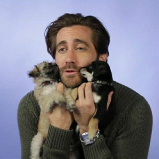 Логотип Телеграм канала pinkfiction. Бесплатная аналитика Telegram каналов