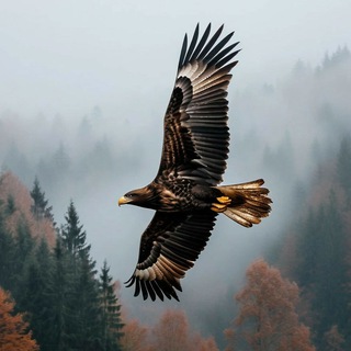 Telegram Channel logo v_dikoy_prirode. Free Telegram Channel Analytics