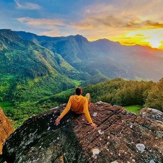 Telegram Channel logo Naturist Friend 🍀. Free Telegram Channel Analytics