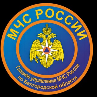 Логотип Телеграм канала . Бесплатная аналитика Telegram каналов