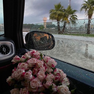 Логотип Телеграм канала لله قلبــي✨. Бесплатная аналитика Telegram каналов