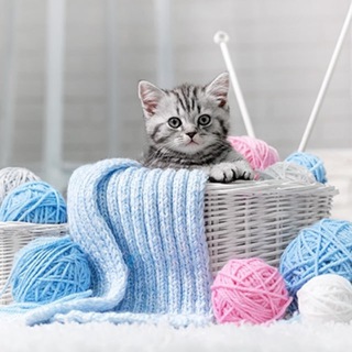 Telegram Channel logo nasha_vyazalochka. Free Telegram Channel Analytics