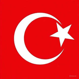 Telegram Channel logo akkbaaarrtorkee. Free Telegram Channel Analytics