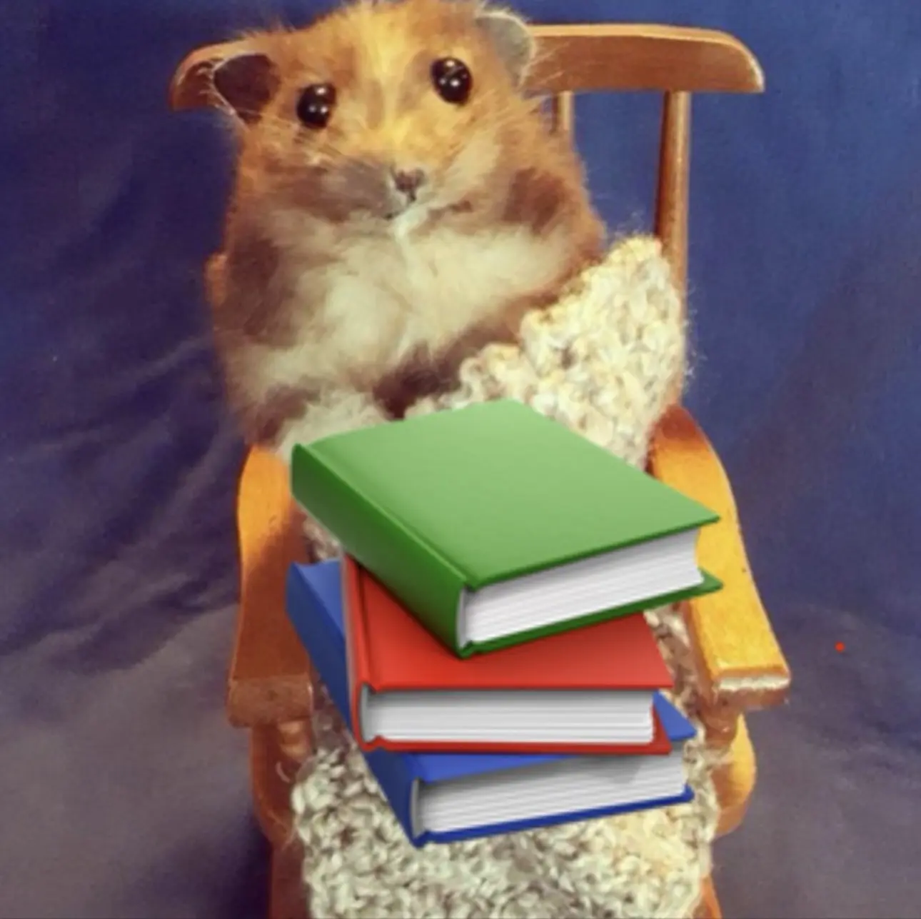 Telegram Channel logo cozybasis. Free Telegram Channel Analytics