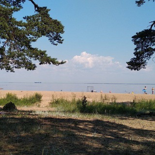 Логотип Телеграм канала lenoblast147. Бесплатная аналитика Telegram каналов