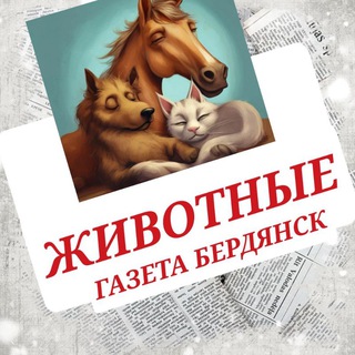 Telegram Channel logo gav_brd. Free Telegram Channel Analytics