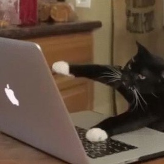 Логотип Телеграм канала Vladimir Koltsov. Бесплатная аналитика Telegram каналов