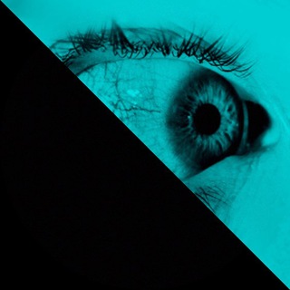 Логотип Телеграм канала . Бесплатная аналитика Telegram каналов