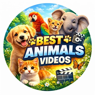 Telegram Channel logo bestanimalsvideos. Free Telegram Channel Analytics
