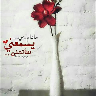 Логотип Телеграм канала الزَّوًّجَةٍُ َ النَاجَحَةٍُ ❥🌸. Бесплатная аналитика Telegram каналов