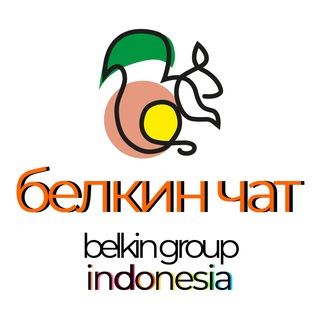 Telegram Channel logo belkin_bali_chat. Free Telegram Channel Analytics