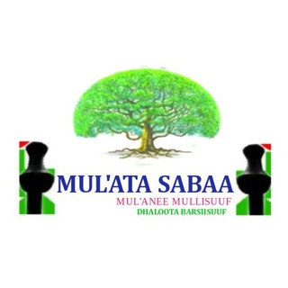 Telegram Channel logo MULATA_SABAA. Free Telegram Channel Analytics