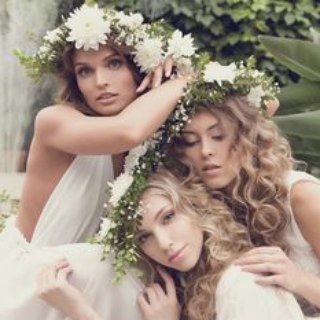 Логотип Телеграм канала . Бесплатная аналитика Telegram каналов