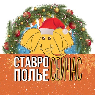 Логотип Телеграм канала stav_kray. Бесплатная аналитика Telegram каналов