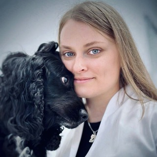 Логотип Телеграм канала . Бесплатная аналитика Telegram каналов